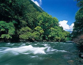 索尼或于1月31日举行State of Play 展示多款新游戏